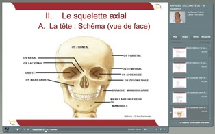 Cours_E-learning_Ifits