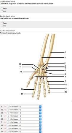 Cours_E-learning_Ifits