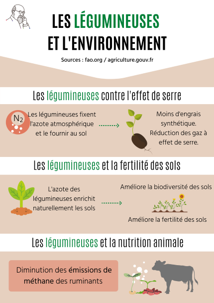 légumineuses environnement Ifits exposition