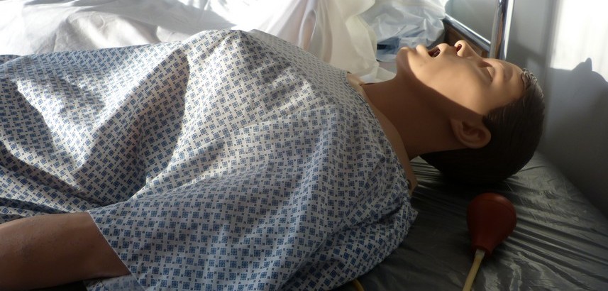 mannequin apprentissage par simulation