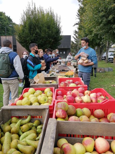 vente fruits et légumes Ifits